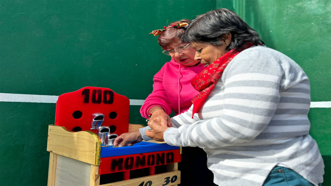 Programa IMRD Chía